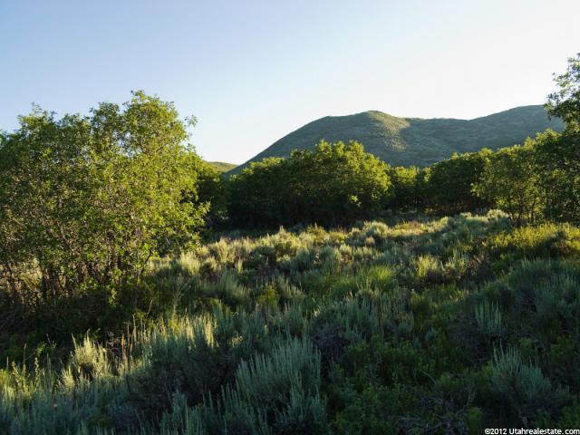 #46, Hideout, UT 84036 — photo 11