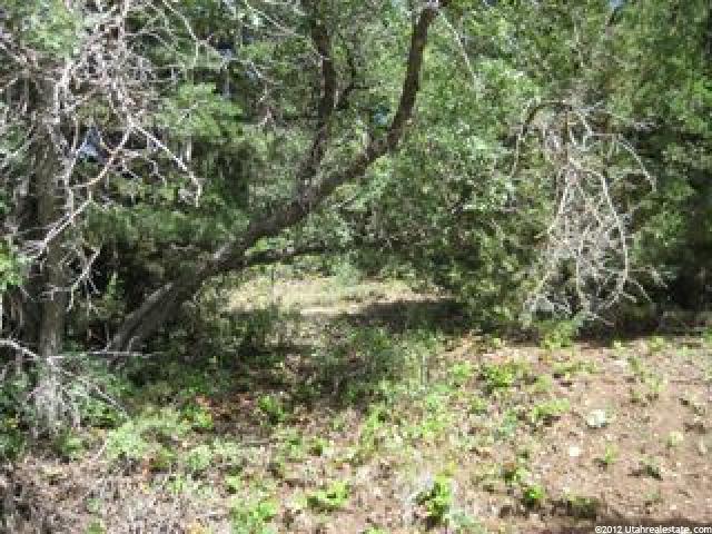 5 Vista #5, Mt Pleasant, UT 84647 — photo 3