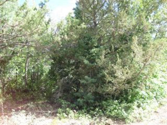 5 Vista #5, Mt Pleasant, UT 84647 — photo 4