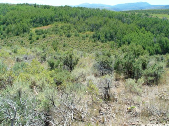#86, Montpelier, ID 83254 — photo 11