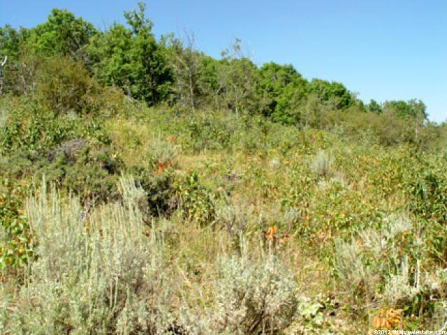 #86, Montpelier, ID 83254 — photo 5