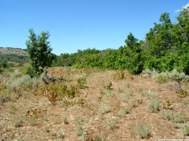 #86, Montpelier, ID 83254 — photo 7