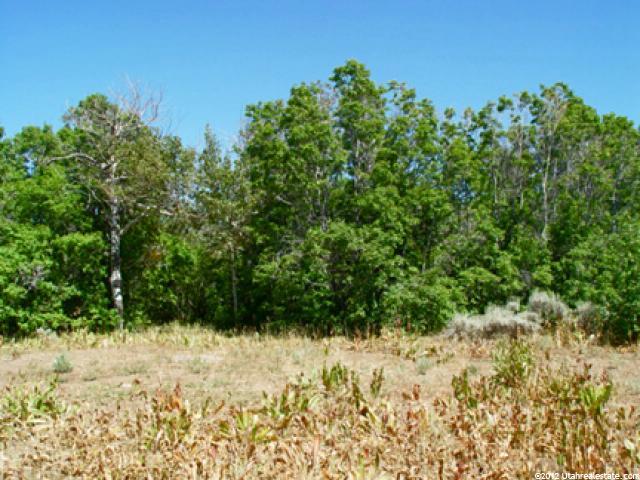 #86, Montpelier, ID 83254 — photo 8