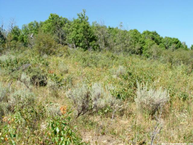 #86, Montpelier, ID 83254 — photo 10