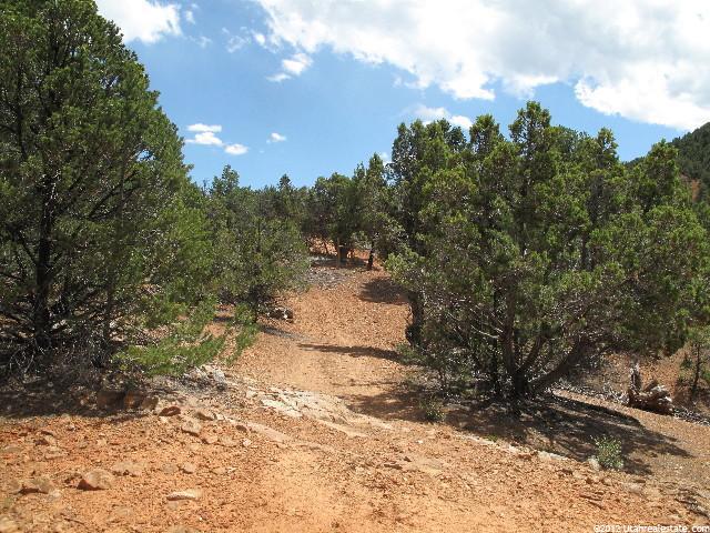 #F9, Indianola, UT 84629 — photo 2