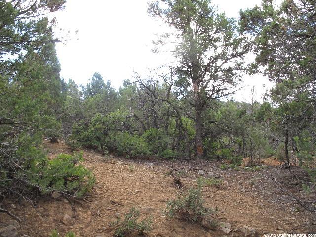 #F9, Indianola, UT 84629 — photo 6