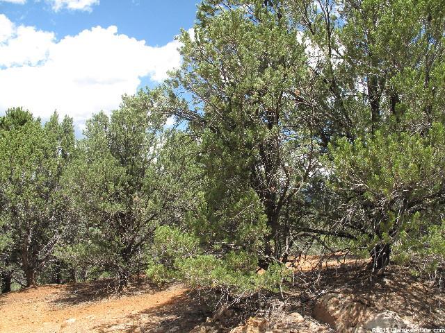 #F9, Indianola, UT 84629 — photo 8