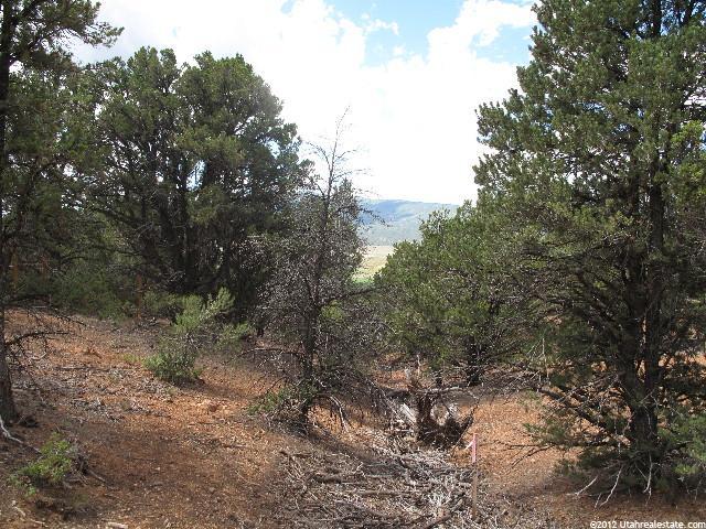 #F9, Indianola, UT 84629 — photo 9