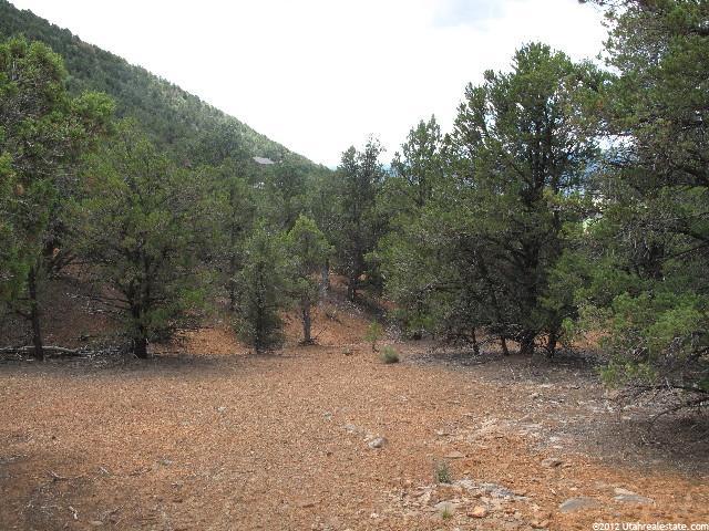 #F9, Indianola, UT 84629 — photo 10