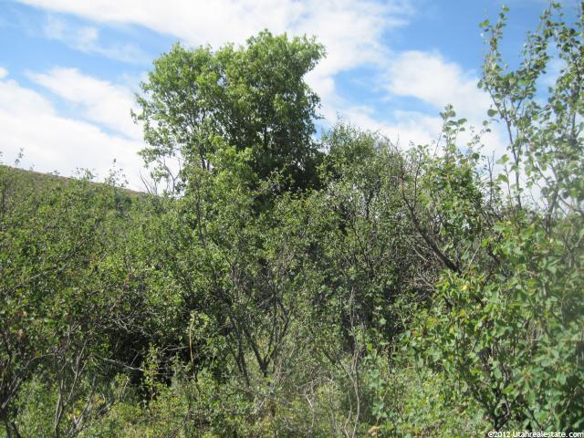 #105, Montpelier, ID 83254 — photo 2