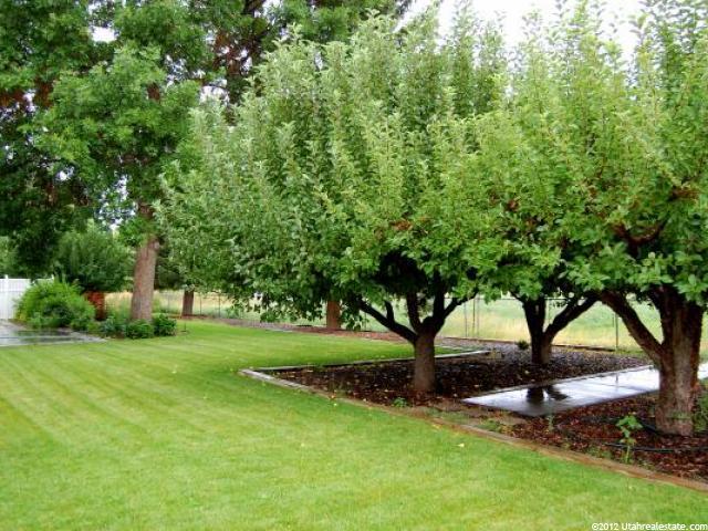265 S State St, Morgan, UT 84050 — photo 10