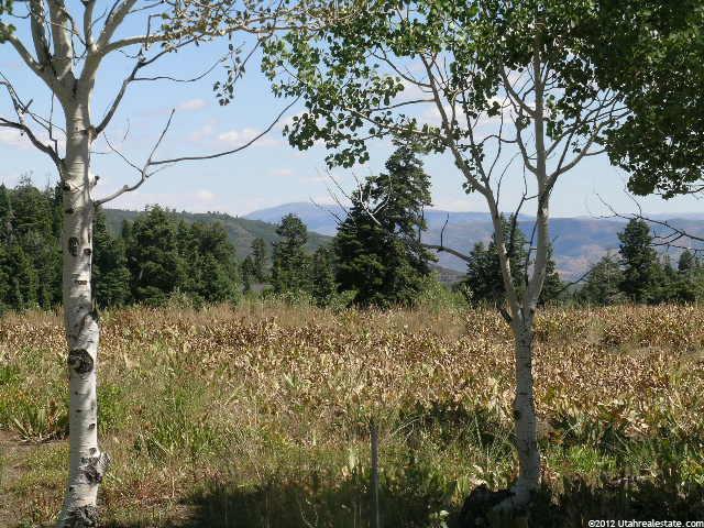 2489 W Modoc Loop N #3, Wanship, UT 84017 — photo 7