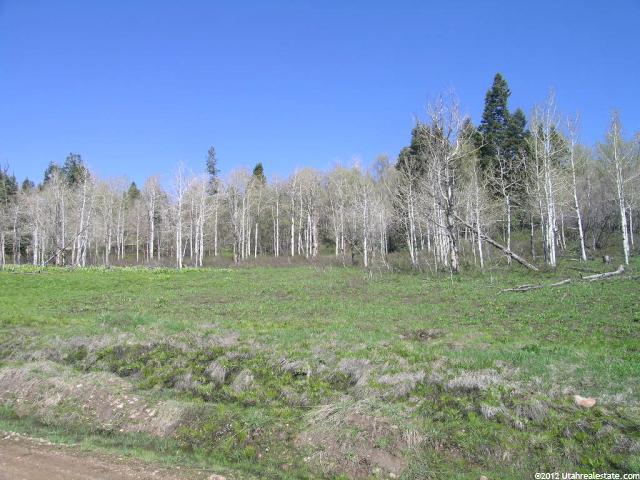 2489 W Modoc Loop N #3, Wanship, UT 84017 — photo 8