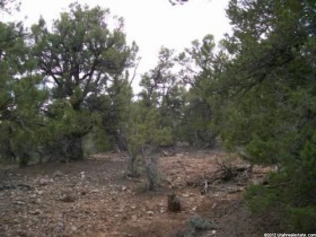 #8,9, Tabiona, UT 84072 — photo 3