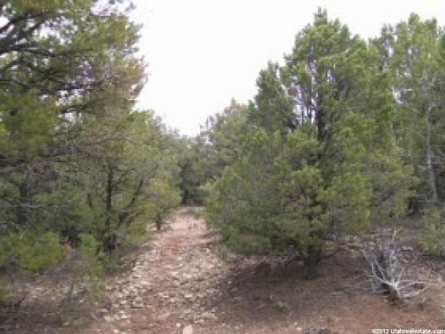 #8,9, Tabiona, UT 84072 — photo 4