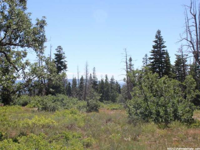 #16, Virgin, UT 84779 — photo 2