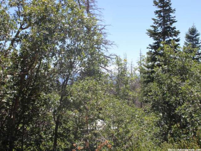 #16, Virgin, UT 84779 — photo 3