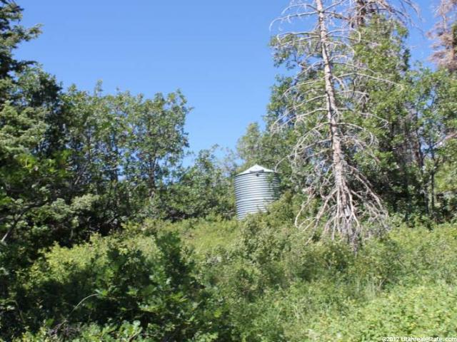 #16, Virgin, UT 84779 — photo 5