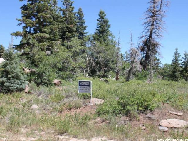 #16, Virgin, UT 84779 — photo 7