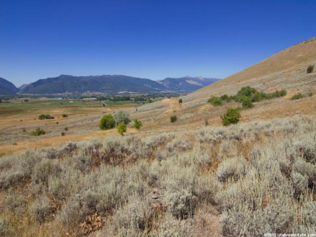 8850 E Pineview S #116, Huntsville, UT 84317 — photo 8