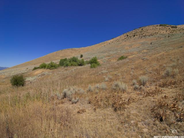8850 E Pineview S #116, Huntsville, UT 84317 — photo 9