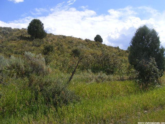 Bancroft, ID 83217 — photo 4