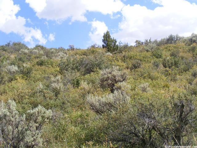 Bancroft, ID 83217 — photo 6