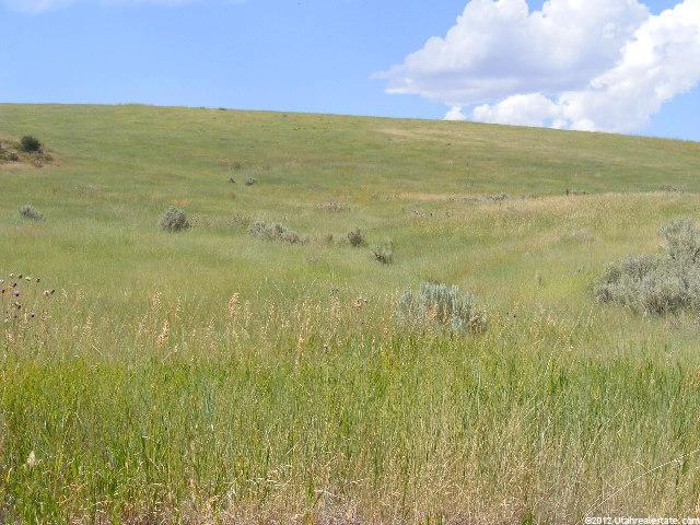 Bancroft, ID 83217 — photo 7