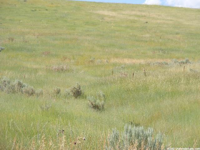 Bancroft, ID 83217 — photo 8
