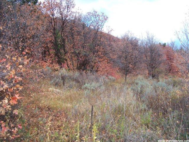 1315 N Sculpin Loop #E106, Garden City, UT 84028 — photo 2