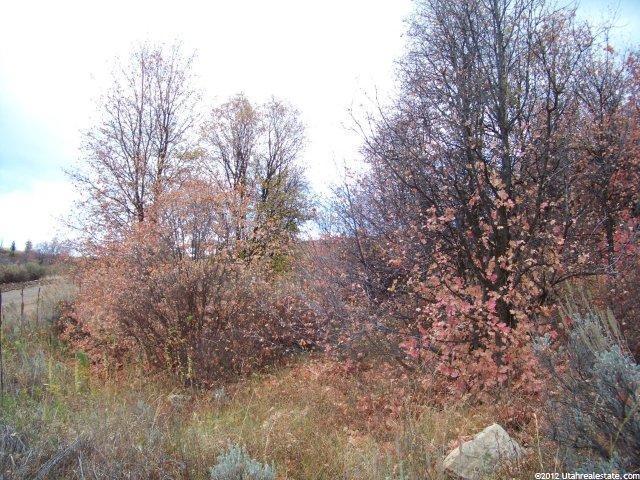 1315 N Sculpin Loop #E106, Garden City, UT 84028 — photo 3