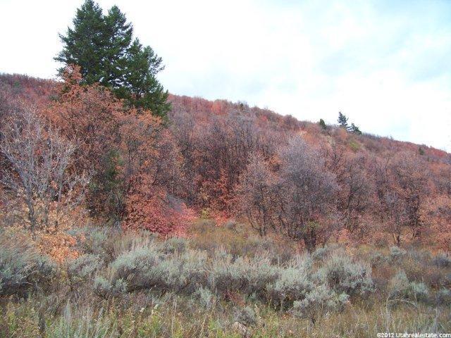 1315 N Sculpin Loop #E106, Garden City, UT 84028 — photo 7