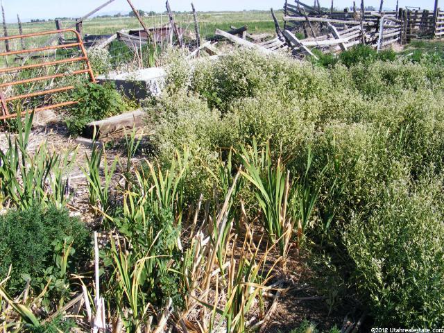 1200 W 5500 S, Delta, UT 84624 — photo 3