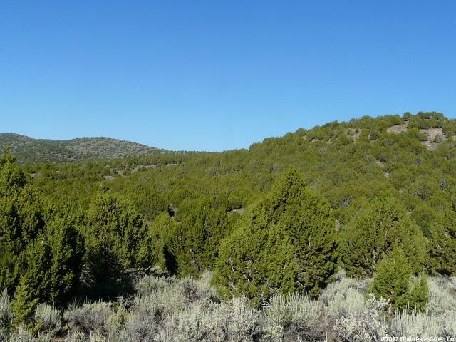 25000 N 5000 E, Fountain Green, UT 84632 — photo 11