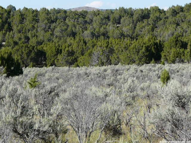 25000 N 5000 E, Fountain Green, UT 84632 — photo 12