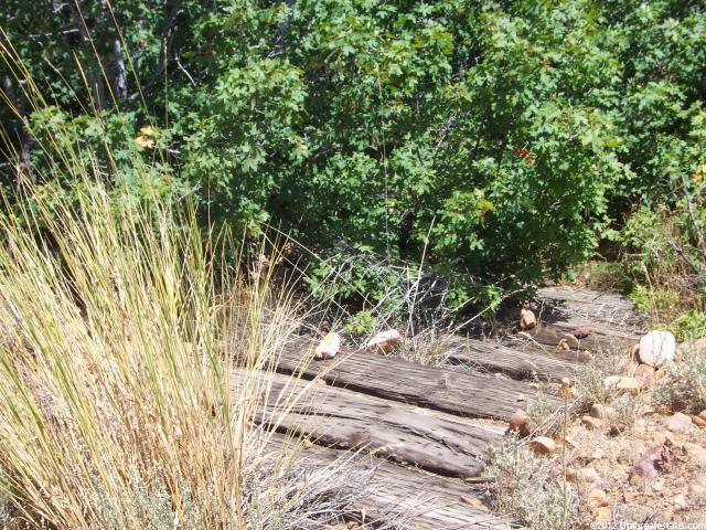 13128 E Pine Canyon Rd N, Huntsville, UT 84317 — photo 2