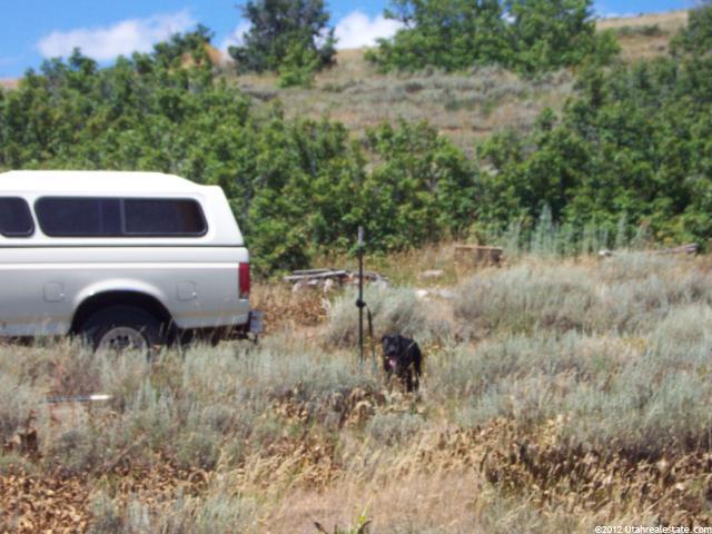 13128 E Pine Canyon Rd N, Huntsville, UT 84317 — photo 4