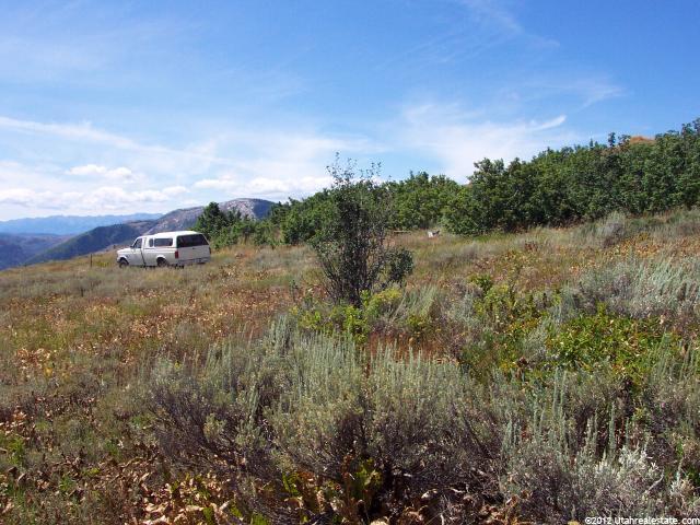 13128 E Pine Canyon Rd N, Huntsville, UT 84317 — photo 5