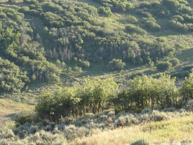 255 Sage Dr #255, Wanship, UT 84017 — photo 7
