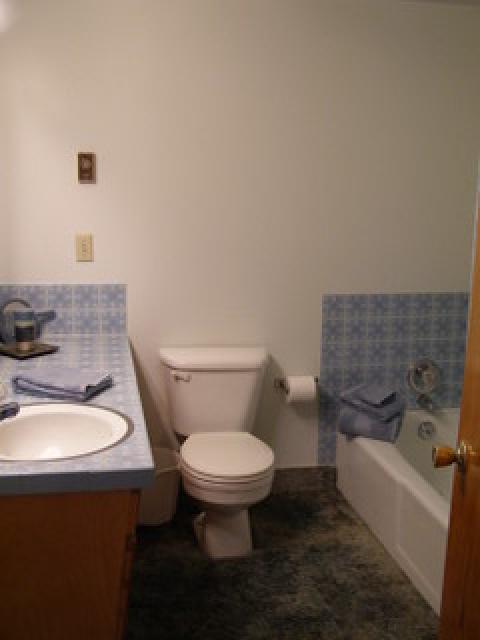 13 E 300 St N, Delta, UT 84624 — photo 5