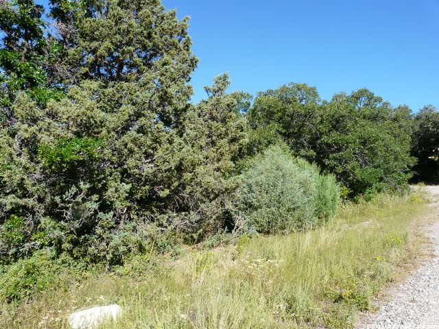 14430 N 12940 E #31, Mt Pleasant, UT 84647 — photo 6