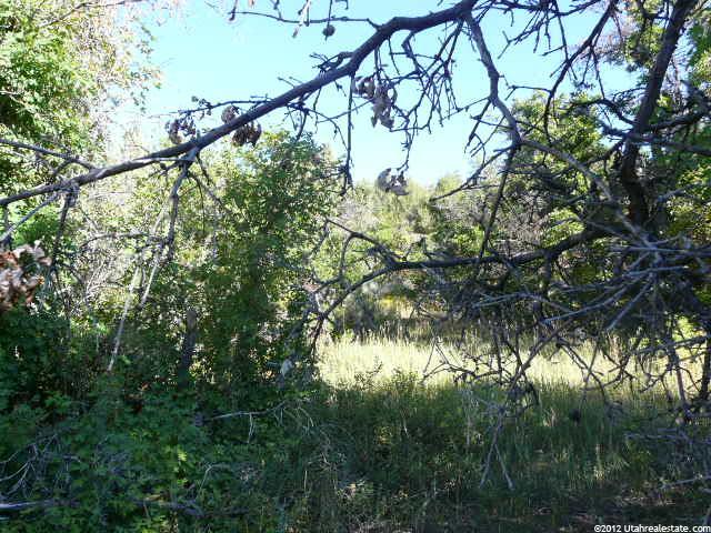 14430 N 12940 E #31, Mt Pleasant, UT 84647 — photo 7