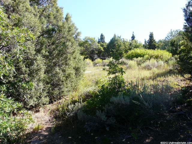 14430 N 12940 E #31, Mt Pleasant, UT 84647 — photo 8