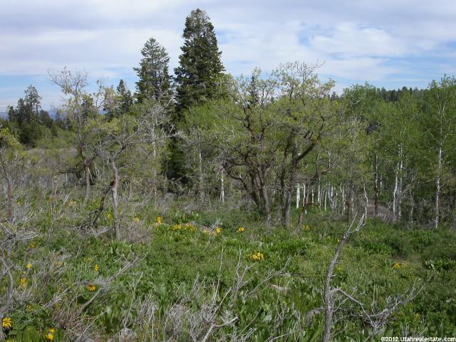 1078 W Beaver Cir #31, Wanship, UT 84017 — photo 4
