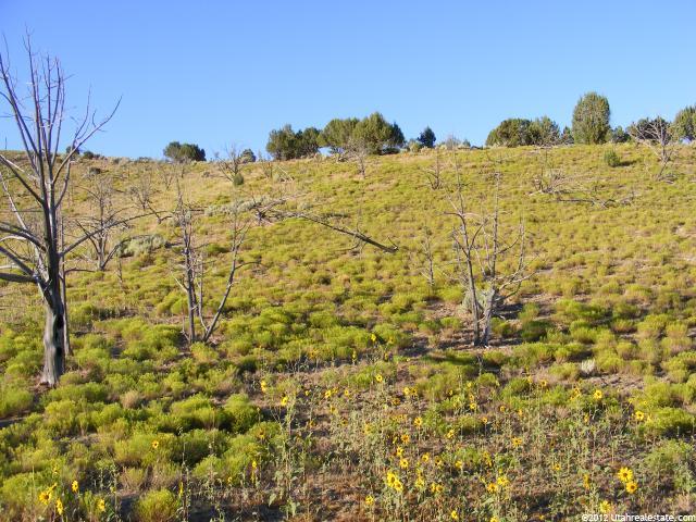 8184 E 200 N, Oak City, UT 84649 — photo 3