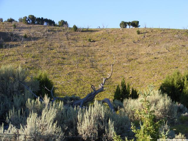 8184 E 200 N, Oak City, UT 84649 — photo 4