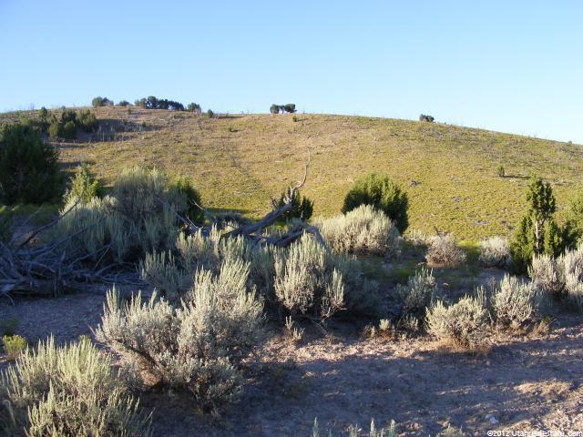 8184 E 200 N, Oak City, UT 84649 — photo 5