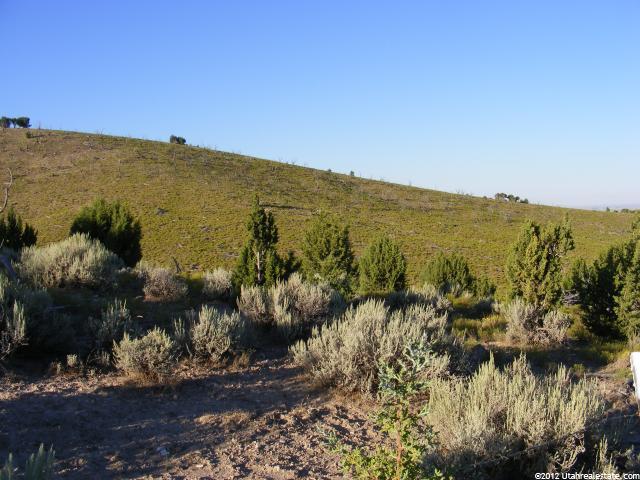 8184 E 200 N, Oak City, UT 84649 — photo 6