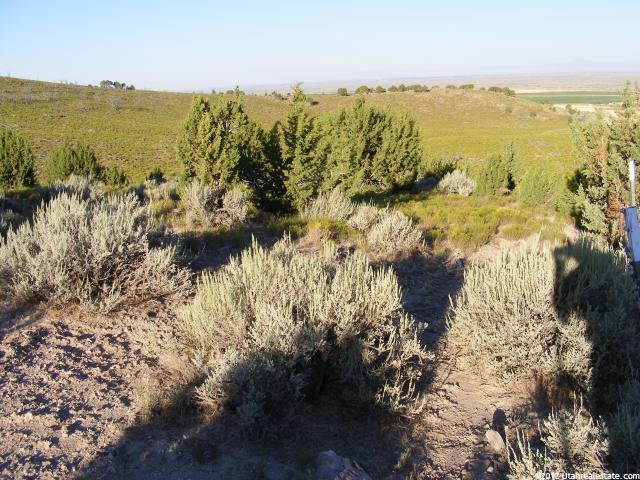 8184 E 200 N, Oak City, UT 84649 — photo 7