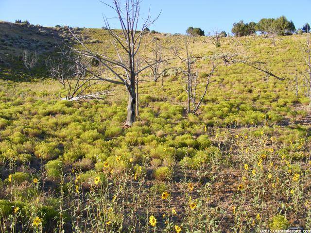 8184 E 200 N, Oak City, UT 84649 — photo 9